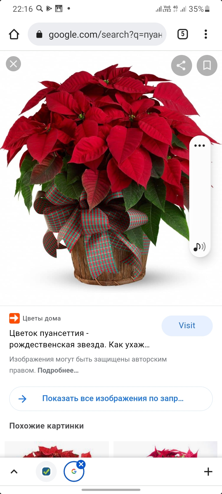 ШМО математического цикла.